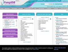 Tablet Screenshot of fungidb.org